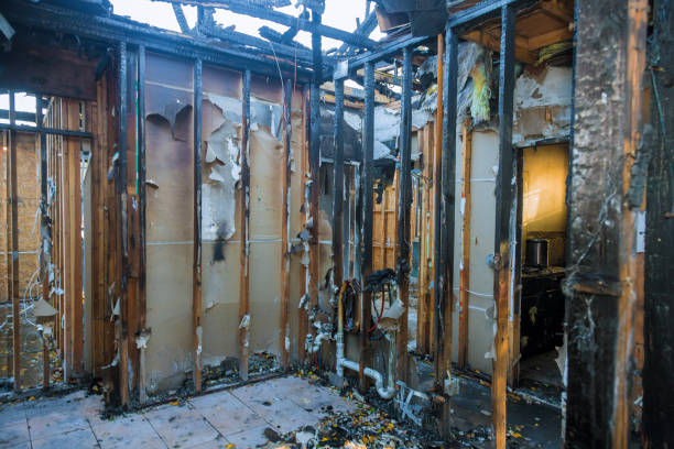 Professional Fire Damage Removal technician working in Cheviot, OH